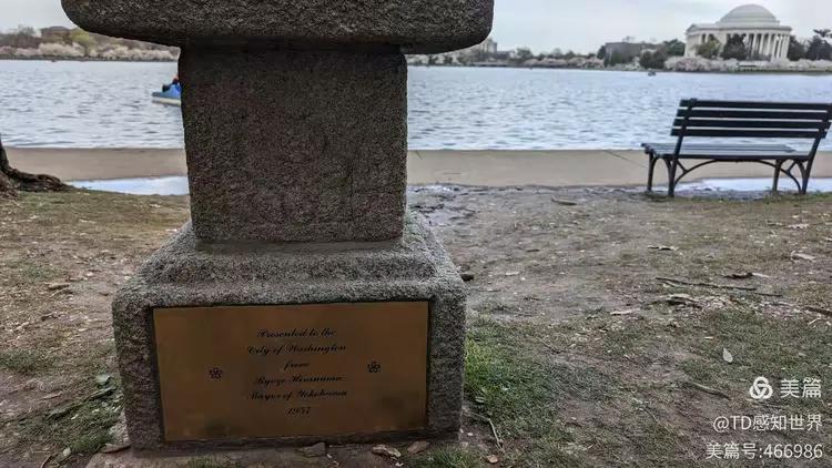 华盛顿特区潮汐湖公园览胜